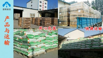 河北滄州蛋種鴨預(yù)混料廠家直銷 京牧安合生物技術(shù)引領(lǐng)飼料品質(zhì)新標(biāo)準(zhǔn)