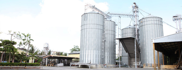 三福產(chǎn)業(yè) 匠心鑄就優(yōu)質(zhì)飼料，科技驅(qū)動(dòng)現(xiàn)代養(yǎng)殖