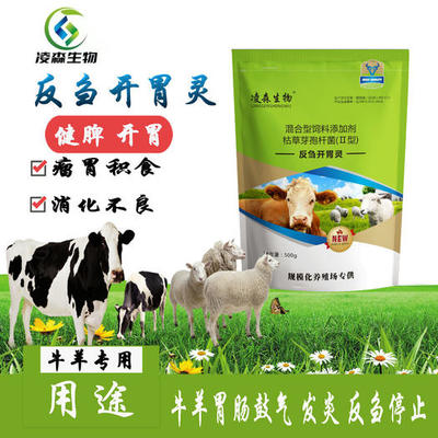 飼料酵母粉 提升動(dòng)物健康與生產(chǎn)性能的營(yíng)養(yǎng)利器